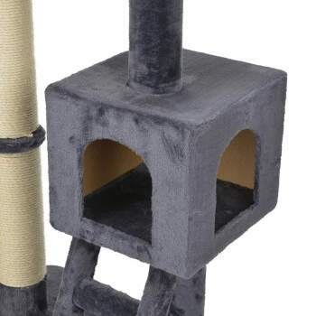 AniOne Kratzbaum Dana