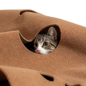 Canadian Cat Company Spielteppich für Katzen braun