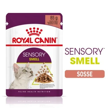 ROYAL CANIN SENSORY Smell in Soße für wählerische Katzen 12x85g