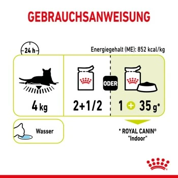 ROYAL CANIN SENSORY Smell in Soße für wählerische Katzen 12x85g