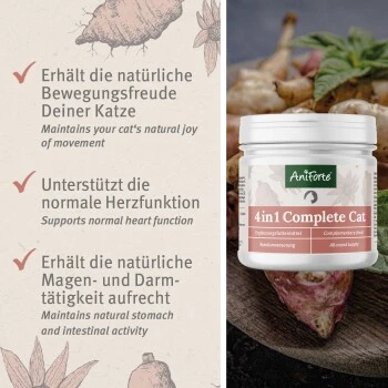 Aniforte 4in1 Complete Cat 60g