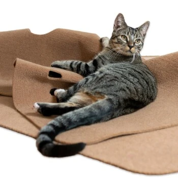 Canadian Cat Company Spielteppich für Katzen braun