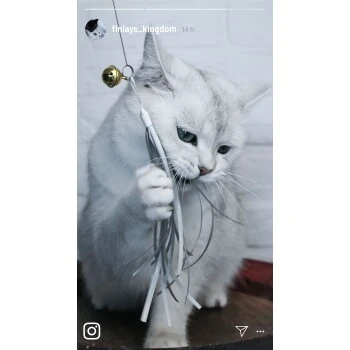 Kater Kasimir Deluxe Set mit 9 beliebten Katzenspielzeugen aus Naturmaterial und handgemachtem CATMOM Armband