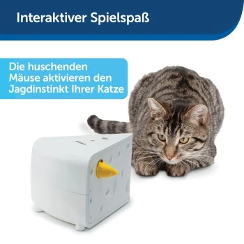 PetSafe Automatisches Katzenspielzeug Cheese