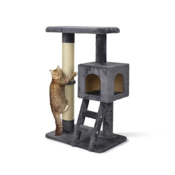 AniOne Kratzbaum Dana