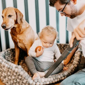 THOMAS AQUA+ Pet & Family Parquet Pro