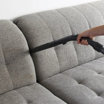 THOMAS perfect air animal pure