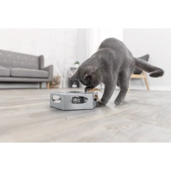 Trixie Turning Feather