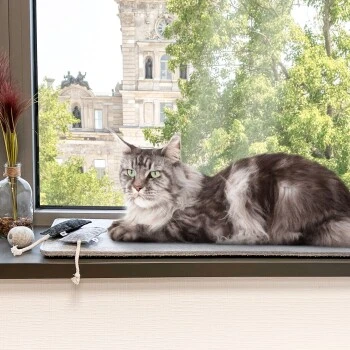 Canadian Cat Company Filzmatte für Fensterbank hellgrau S