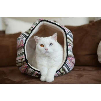 Canadian Cat Company Katzentunnel LUNA M