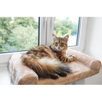 Kerbl Fensterliegebrett