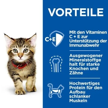 Hill's Science Plan Healthy Cuisine Kitten Ragout Multipack 24x80 g