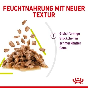 ROYAL CANIN SENSORY Smell in Soße für wählerische Katzen 12x85g