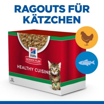 Hill's Science Plan Healthy Cuisine Kitten Ragout Multipack 24x80 g