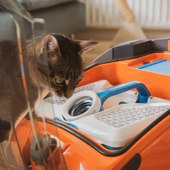 THOMAS AQUA+ Pet & Family