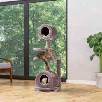 MORE FOR Kratzbaum Jive