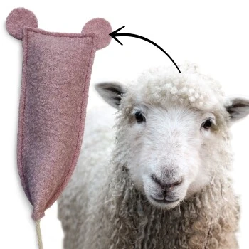 Kater Kasimir Kitten Paket mit 3 Premium Katzenspielzeugen