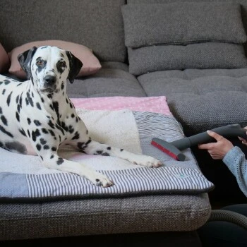 THOMAS AQUA+ Pet & Family