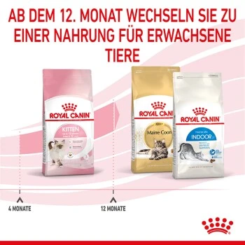 ROYAL CANIN Kitten 4 kg
