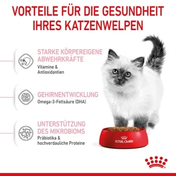 ROYAL CANIN Kitten 4 kg