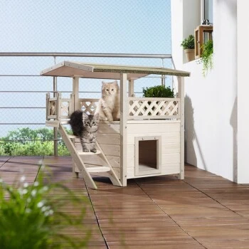 AniOne Katzenhaus Lodge